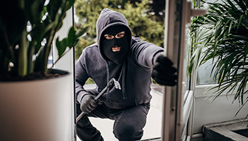 Theft & Property Crimes